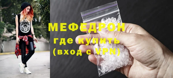 индика Инсар