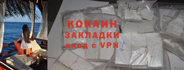 индика Инсар