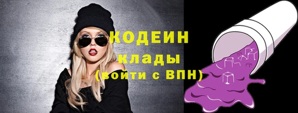 индика Инсар