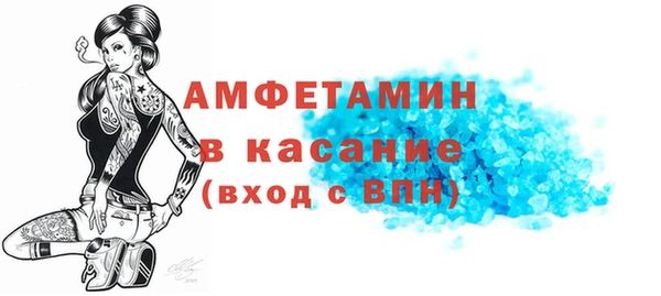 индика Инсар