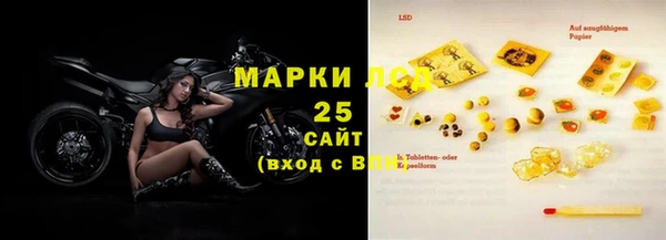твердый Инта