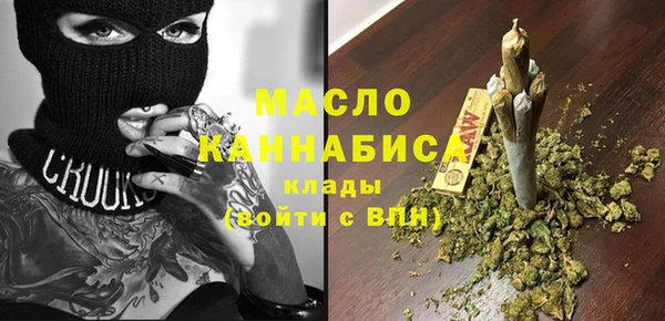 твердый Инта