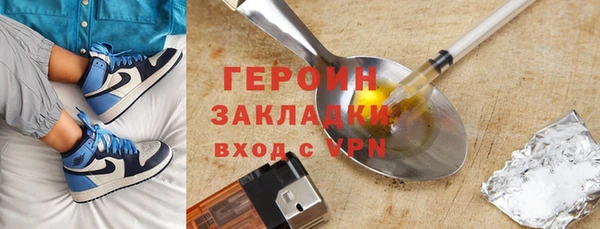 индика Инсар