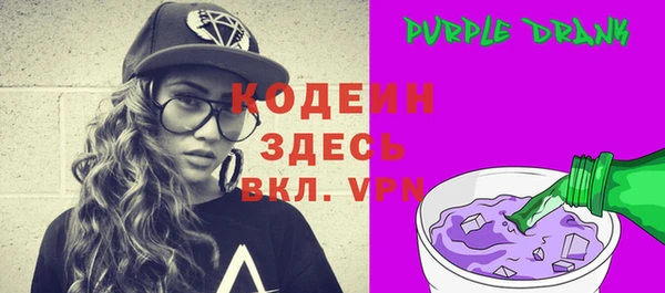 твердый Инта
