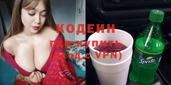 твердый Инта