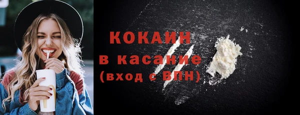 индика Инсар