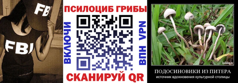 Купить где  Малоархангельск  Псилоцибиновые грибы мицелий 